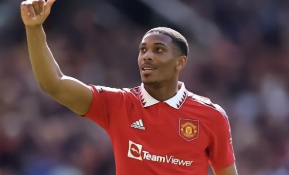 的上升之星 的上升之星